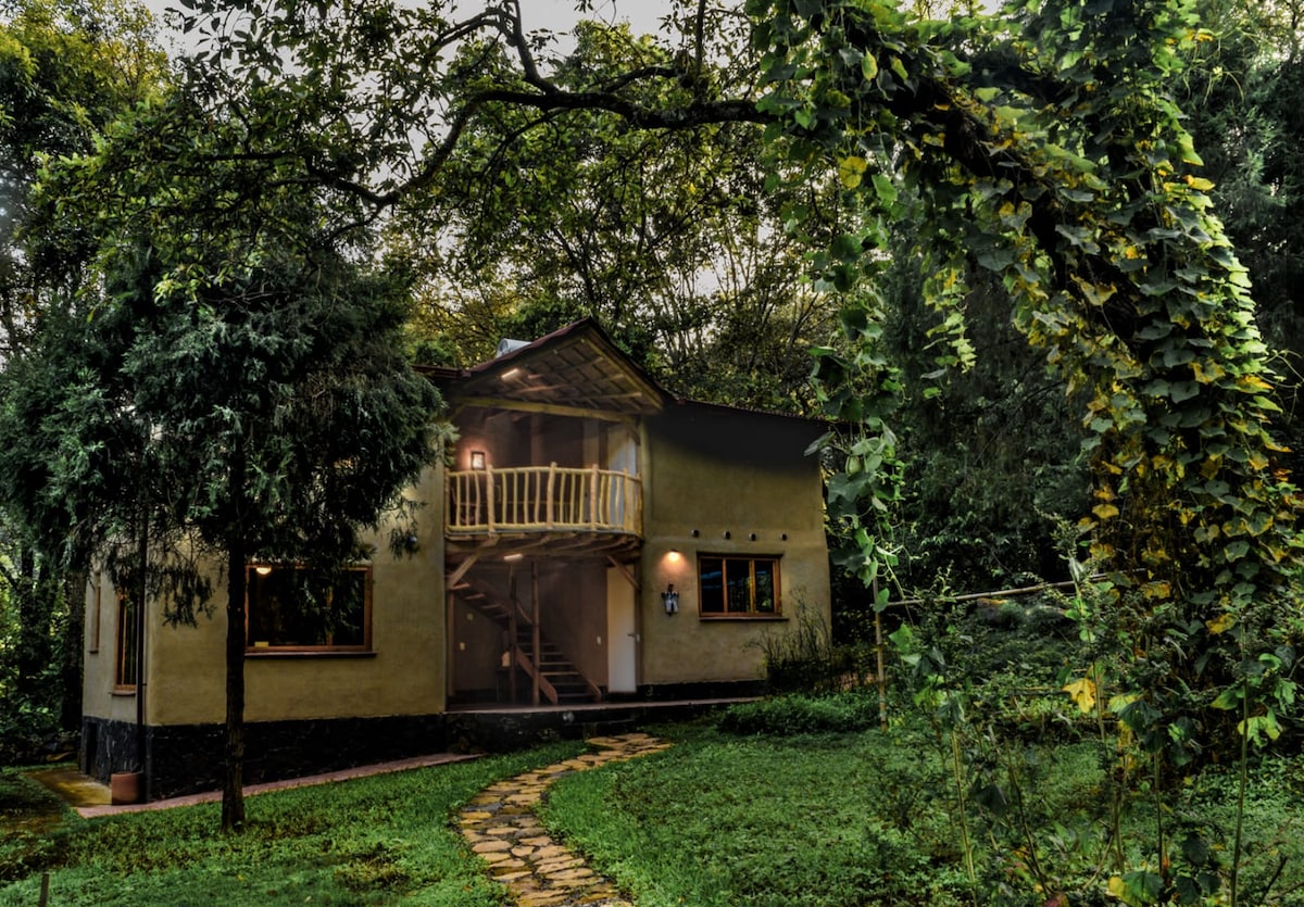 A charming eco-cabin is nestled among lush greenery, showcasing natural materials. The structure features a balcony above wooden steps leading to an inviting entrance. Pathways of stone are visible, winding through the garden, surrounded by flourishing plants and trees.