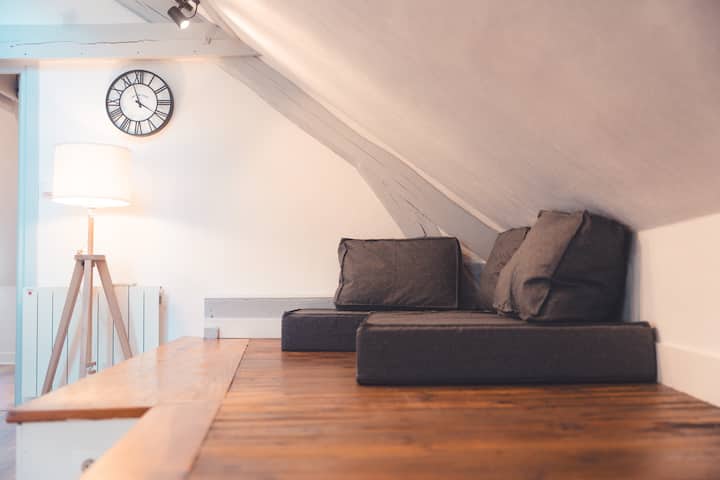 Le Nid D’aigle - Spacieux Logement Sous Les Toits - Saint-Cyr-sur-Loire