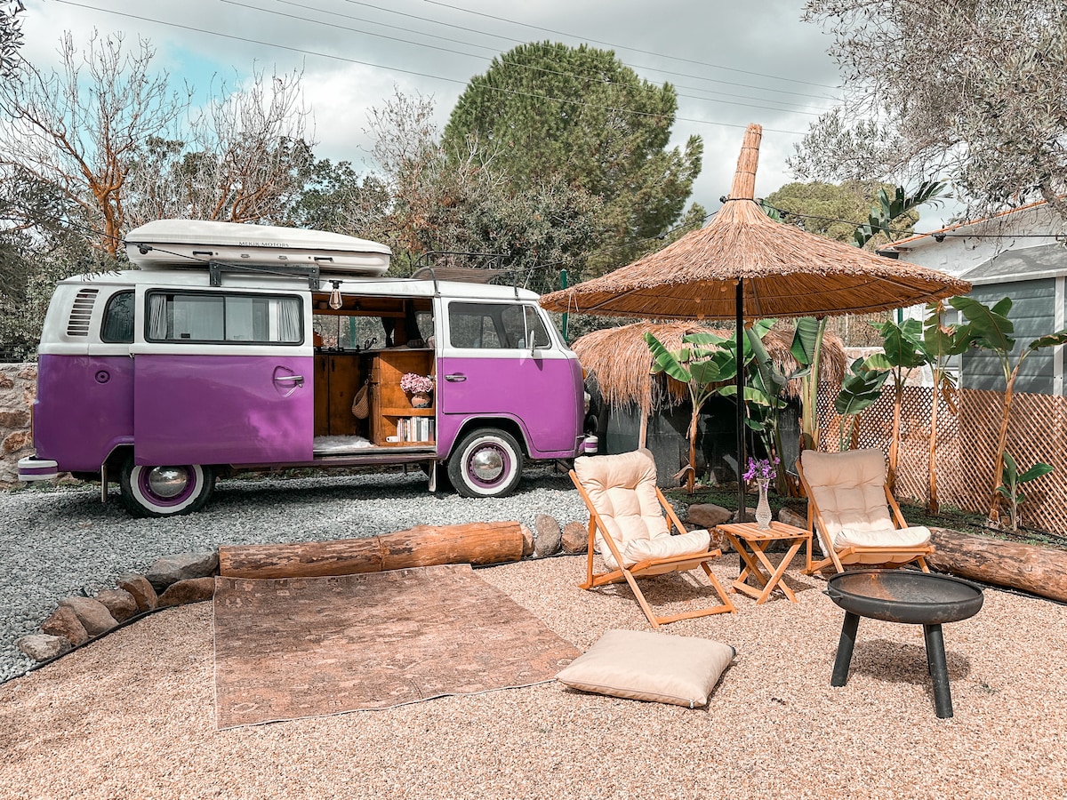 A retro purple van is parked on a gravel area, featuring a thatched umbrella providing shade over a cozy seating arrangement. Two comfortable chairs are positioned beside a small table, with a decorative rug enhancing the outdoor space surrounded by lush greenery.