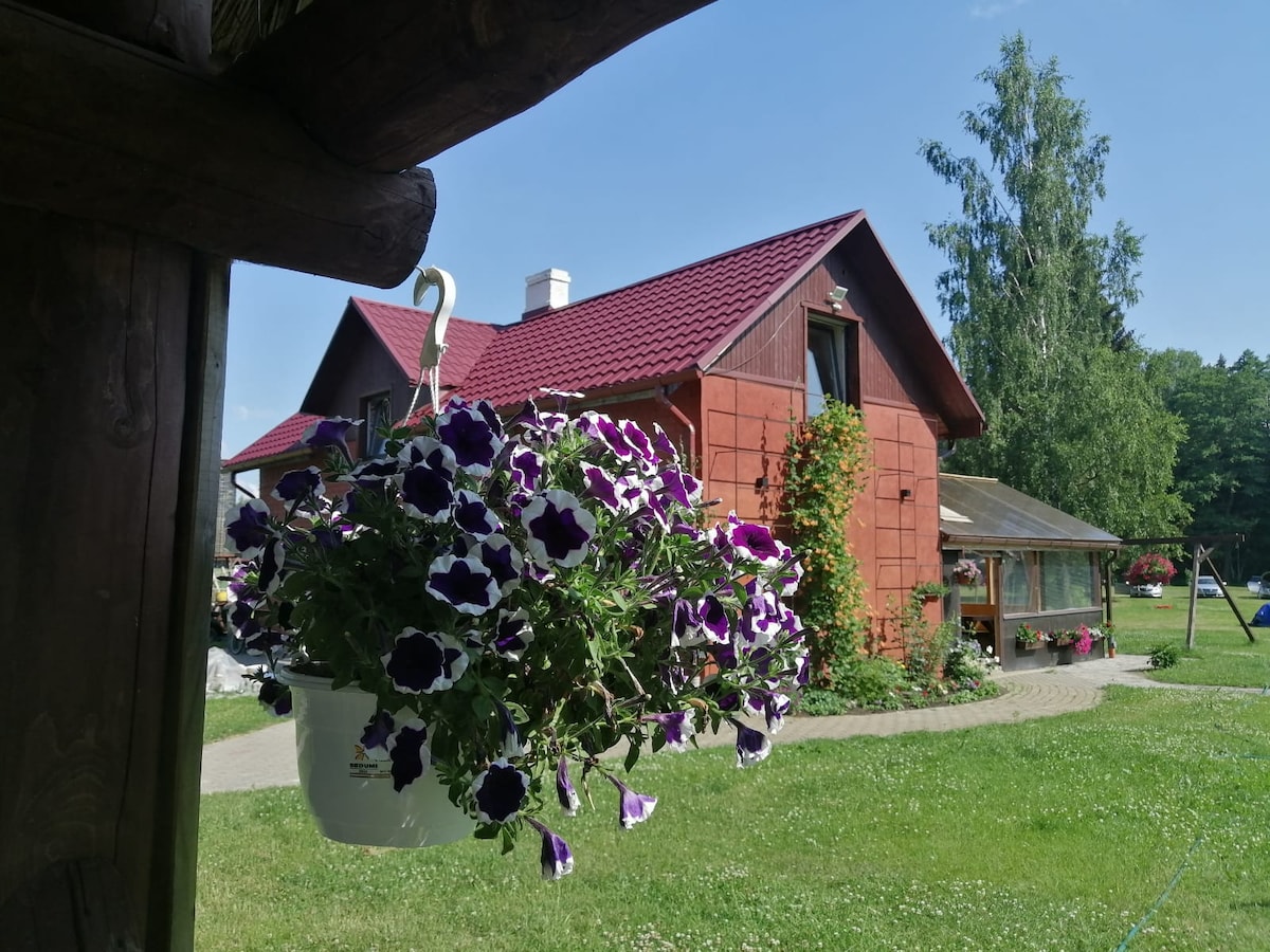A charming wooden house features a red roof and vibrant greenery surrounding it. A hanging planter filled with purple and white flowers is viewed in the foreground, adding color to the scene. A sunny blue sky completes the tranquil atmosphere.