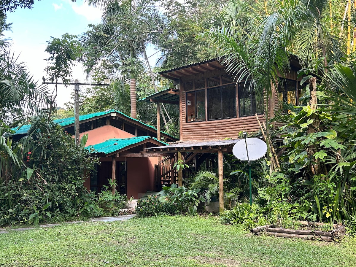 A rustic cabin is nestled among lush tropical vegetation, featuring wooden siding and a welcoming porch. A vibrant green lawn surrounds the structure, while tall palm trees and other foliage provide a natural backdrop. A satellite dish is visible at the side of the cabin.