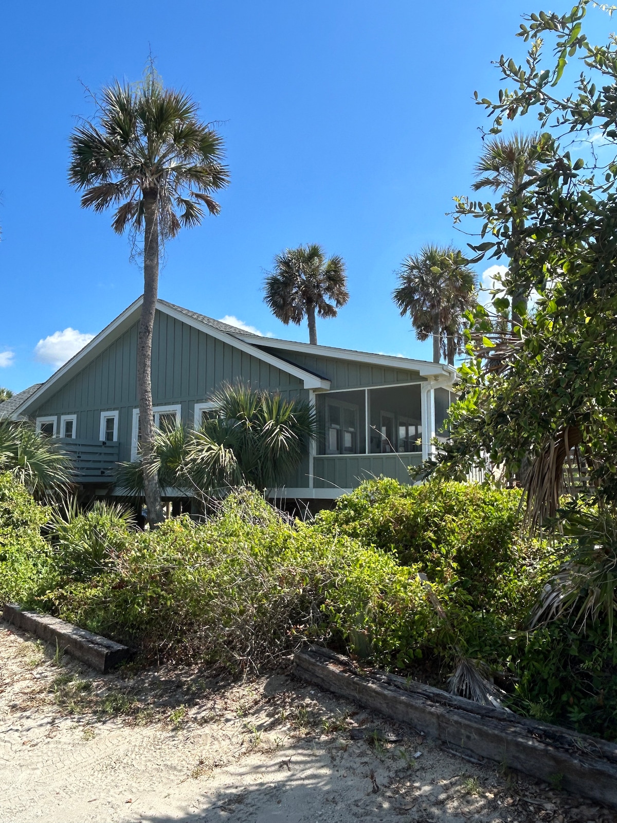 A beach home is surrounded by lush greenery and palm trees, set against a clear blue sky. The structure features a spacious porch, complemented by a sloped roof and large windows that invite natural light. Nearby sand indicates the close proximity to the beach.