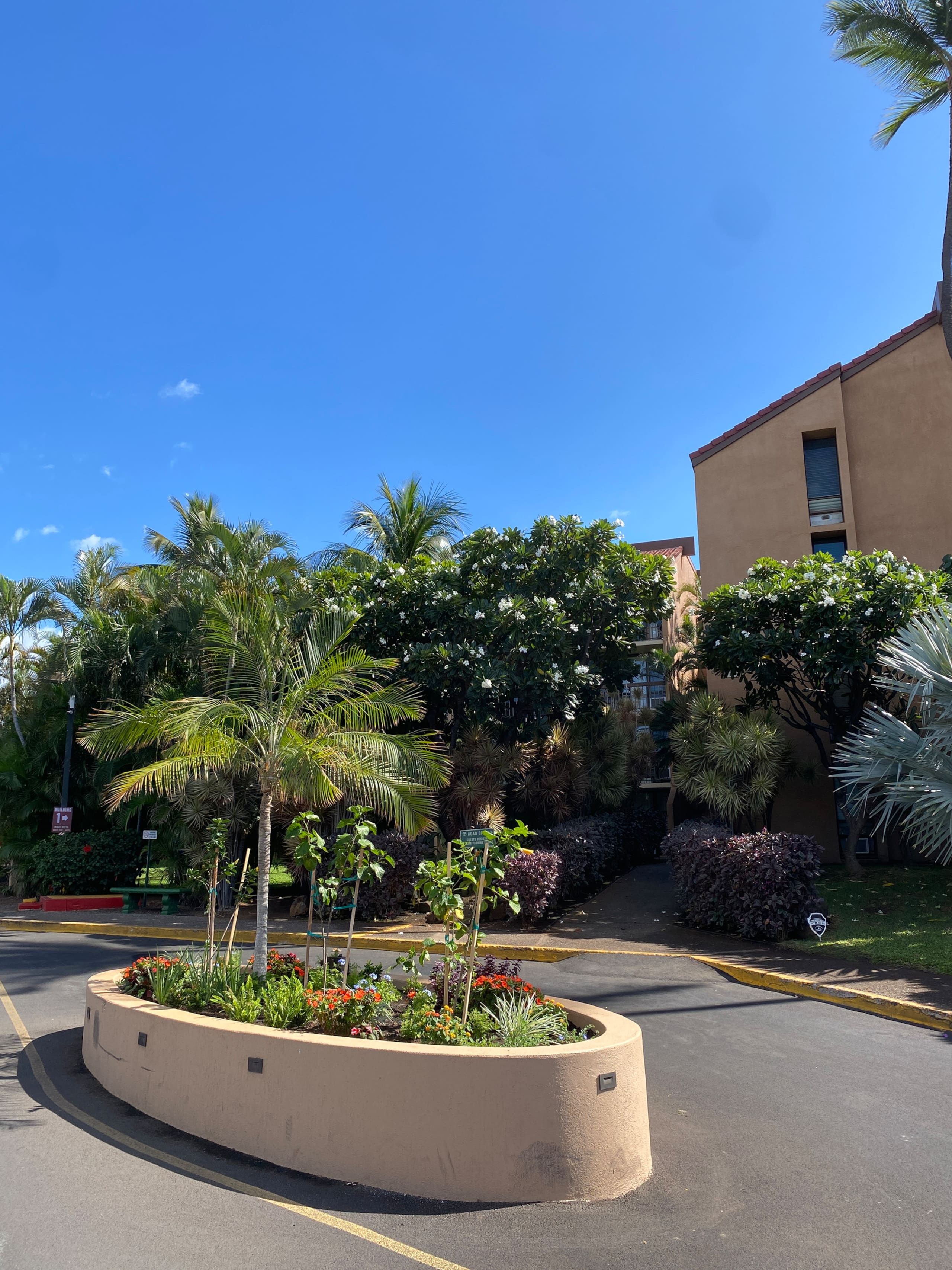 Condo in Kihei · ★4.96 · 1 bedroom · 2 beds · 1 bath - Image 34