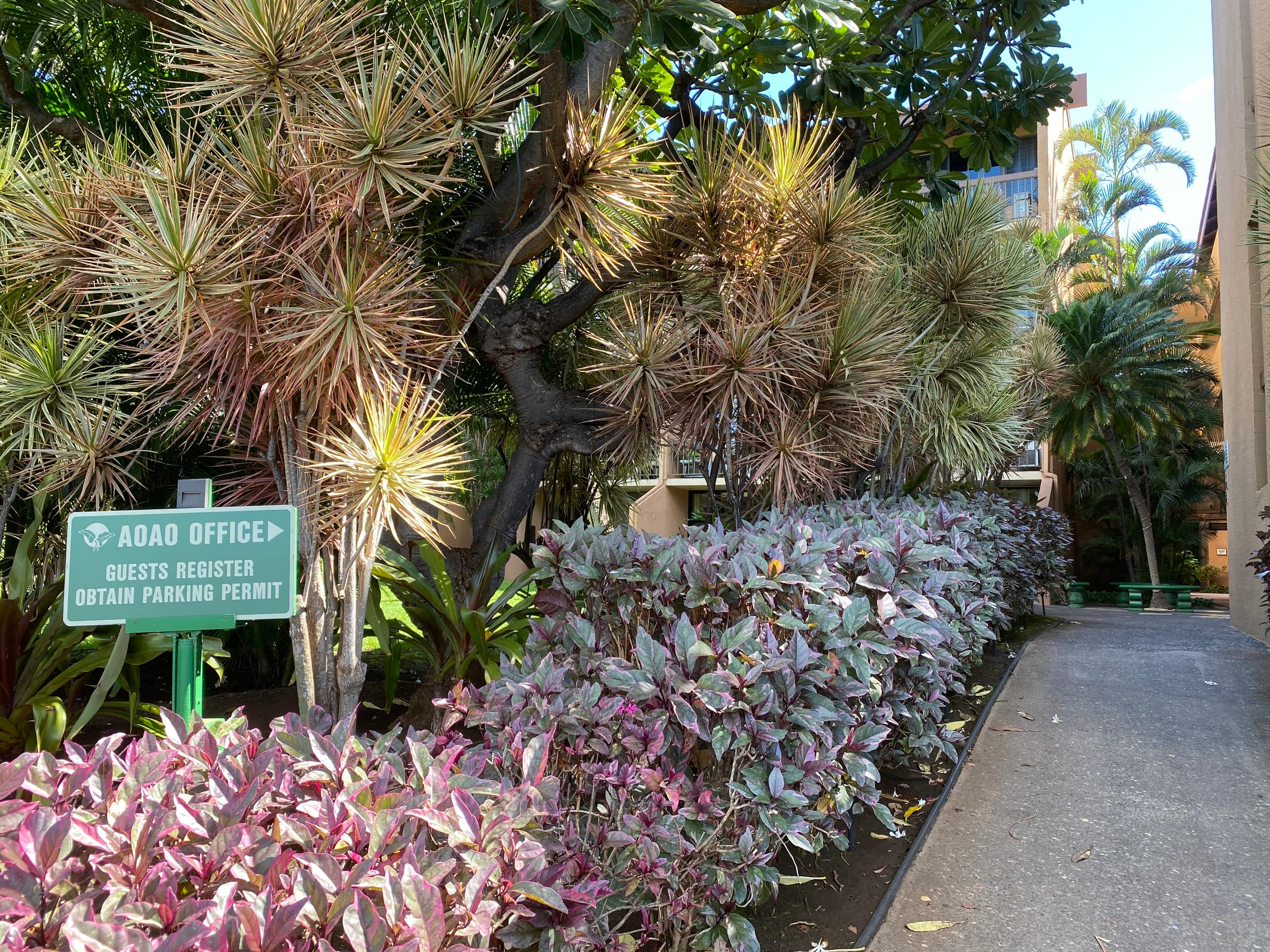 Condo in Kihei · ★4.96 · 1 bedroom · 2 beds · 1 bath - Image 33