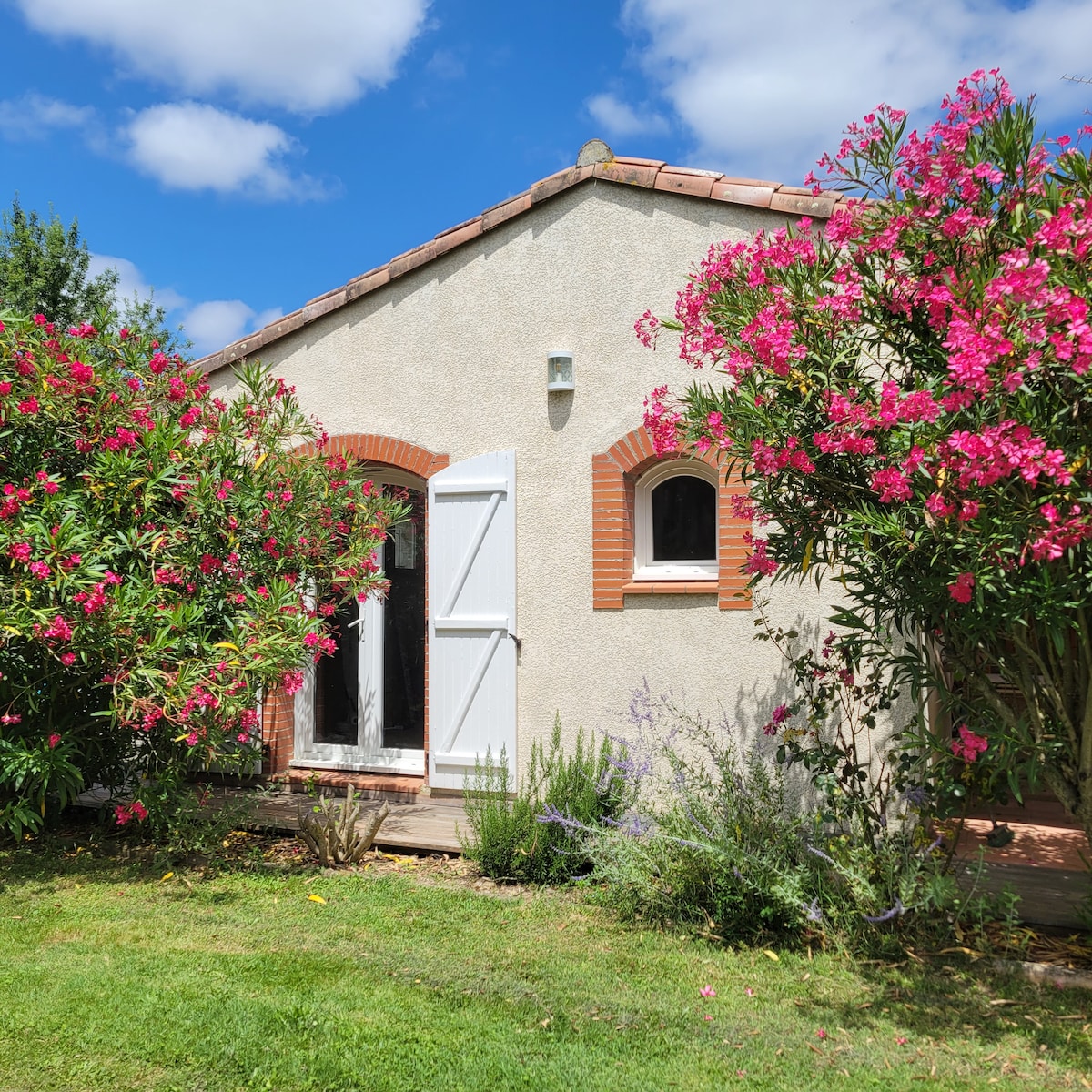 The exterior of the house is framed by lush flowering bushes, creating a vibrant contrast against the light-colored walls. Large windows allow natural light to enter, while the entrance is highlighted by classic shuttered doors. A well-maintained garden enhances the serene outdoor setting.