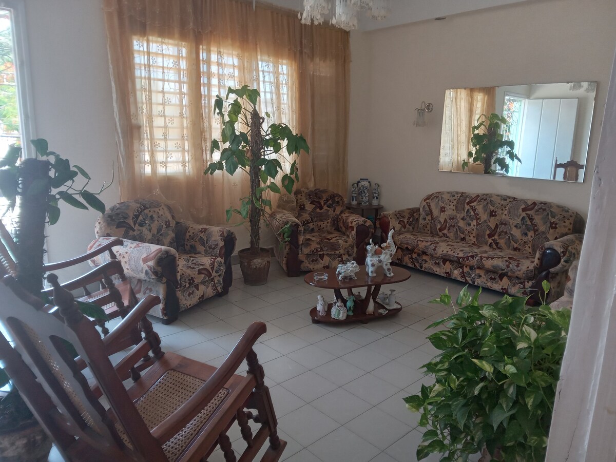 A furnished living area features two patterned sofas and a wooden rocking chair, complemented by a coffee table. Natural light filters through sheer curtains, enhancing the green foliage of potted plants. A large mirror reflects the space, contributing to a sense of openness.