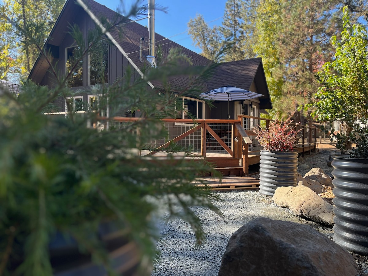 The exterior of a cabin is framed by greenery and decorative planters. Sunlight filters through the trees, highlighting the wooden deck and patio umbrella. The cabin features large windows, extending an inviting presence amid the natural surroundings.