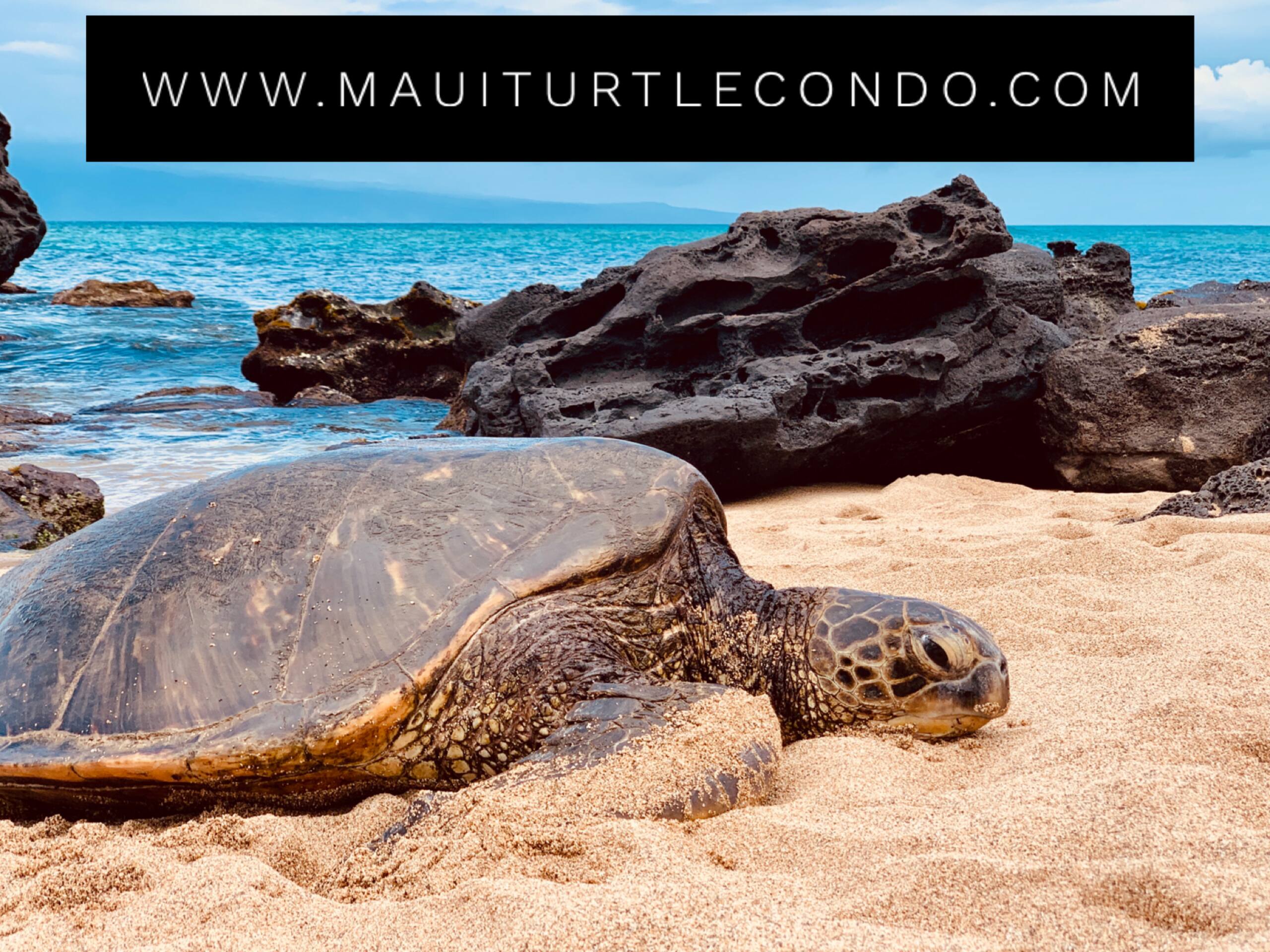 Condo in Lahaina · ★4.91 · 2 bedrooms · 3 beds · 2 baths - Image 24