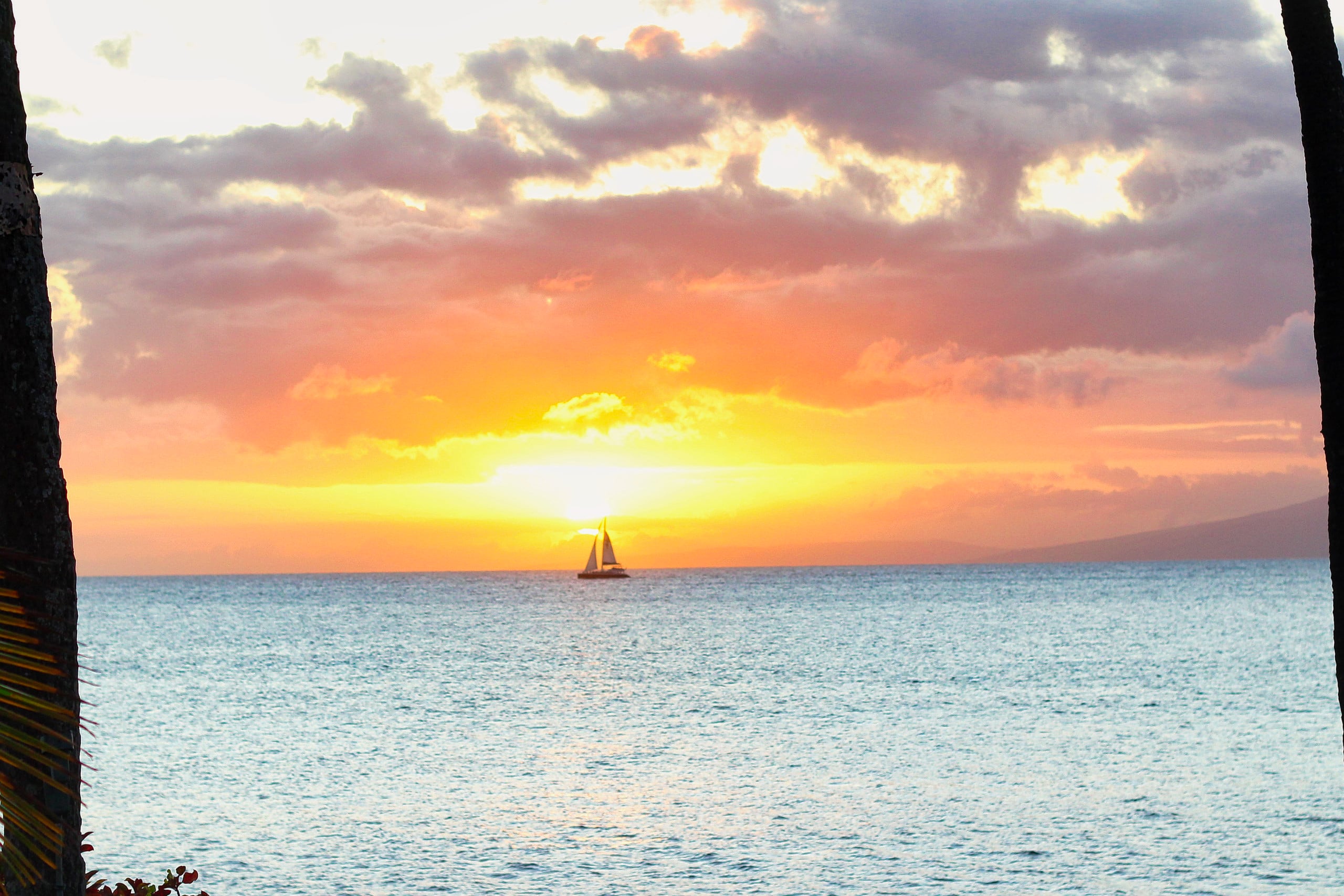 Condo in Lahaina · ★4.91 · 2 bedrooms · 3 beds · 2 baths - Image 18