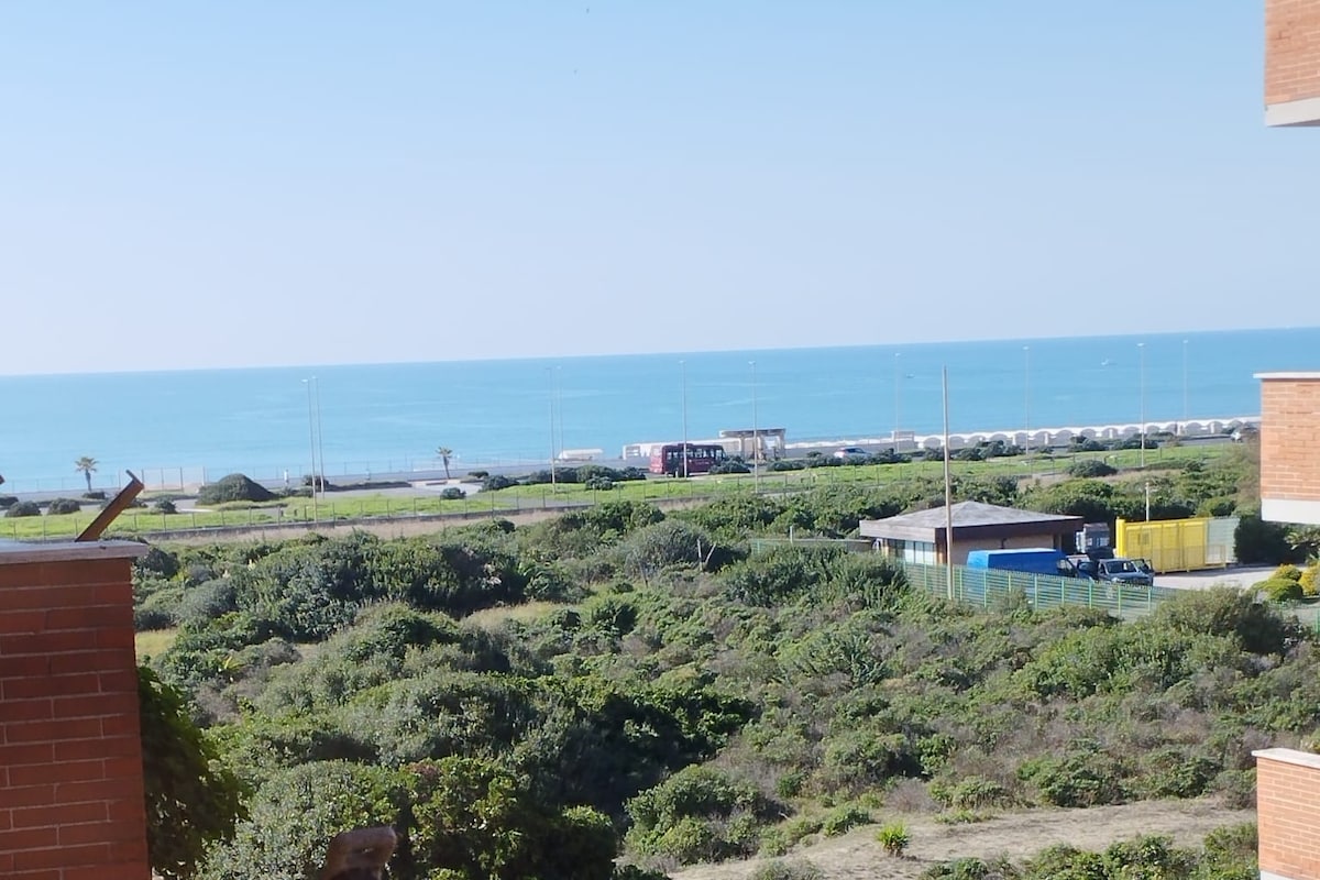 An expansive view of the coastline is captured, with the tranquil sea meeting a clear blue sky. Lush greenery is observed in the foreground, while various structures, including a small building and a parking area, are visible along the shore.