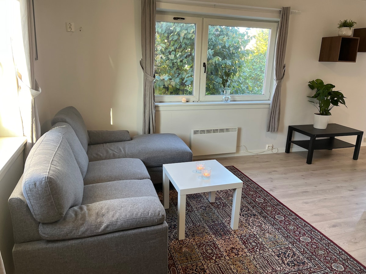 A comfortable seating area is presented with a gray sectional sofa and a simple white coffee table. A decorative rug adds warmth to the space. Natural light enters through a window, framed by light curtains, illuminating a potted plant placed on a shelf.