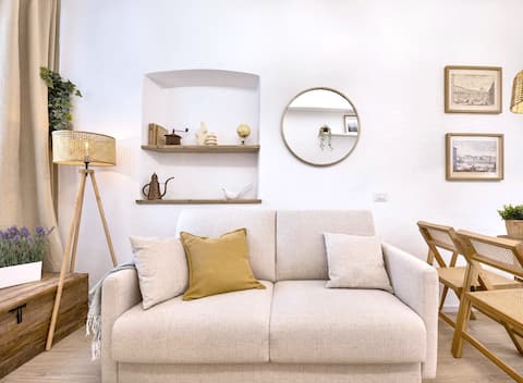 Successful Airbnb property: Charming flat next to the city center (no stairs) in Firenze