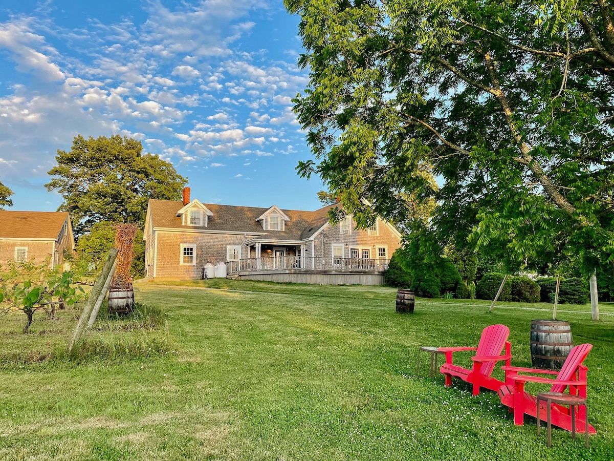 A restored farmhouse, framed by lush green grass, is shown beneath a vibrant sky. The spacious wrap-around deck offers access to the home, while pink Adirondack chairs are situated invitingly in the foreground. Nearby, wooden barrels indicate a connection to the surrounding vineyard.