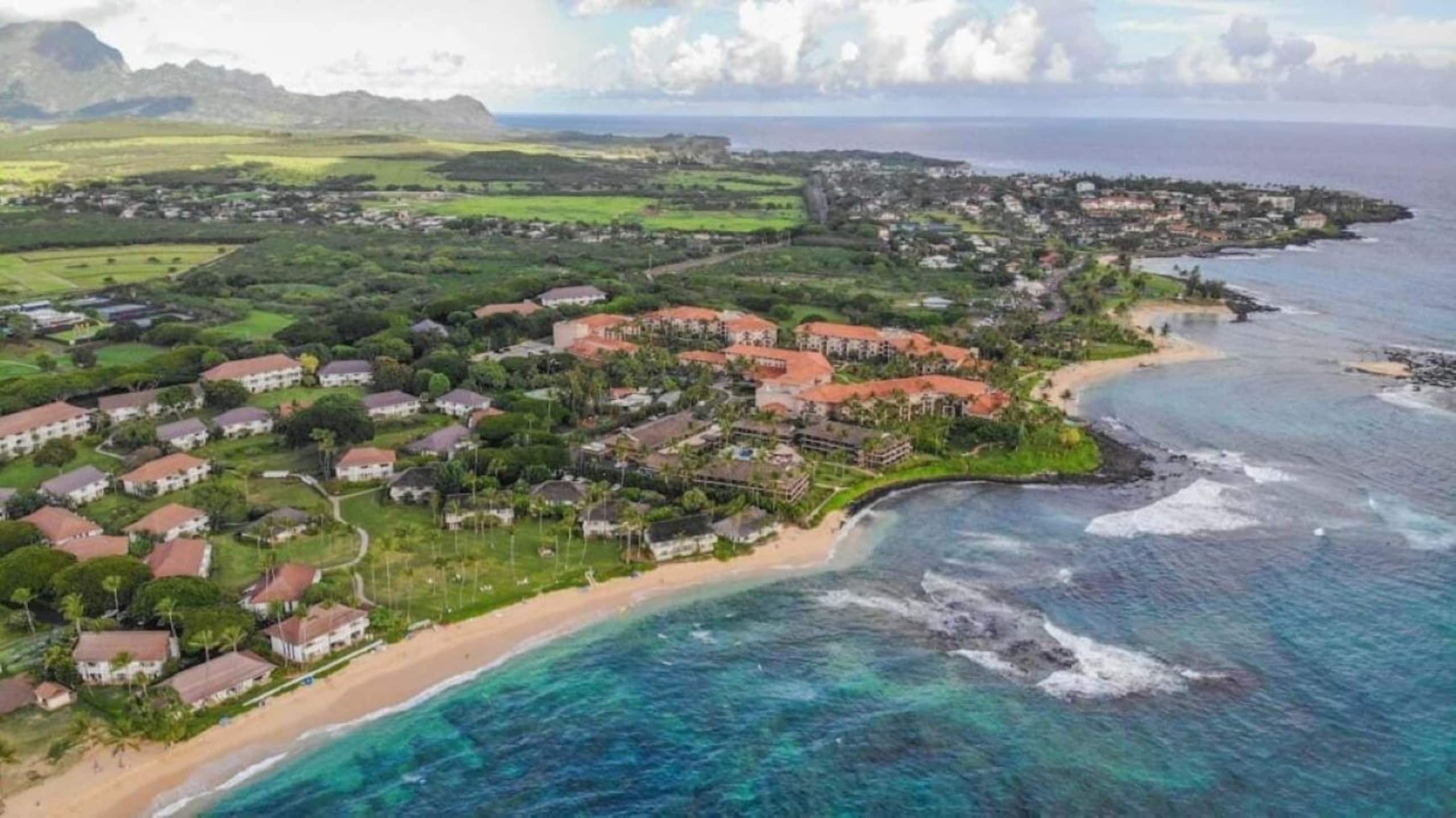 Rental unit in Koloa · ★5.0 · 1 bedroom · 1 bed · 1 bath - Photo 16