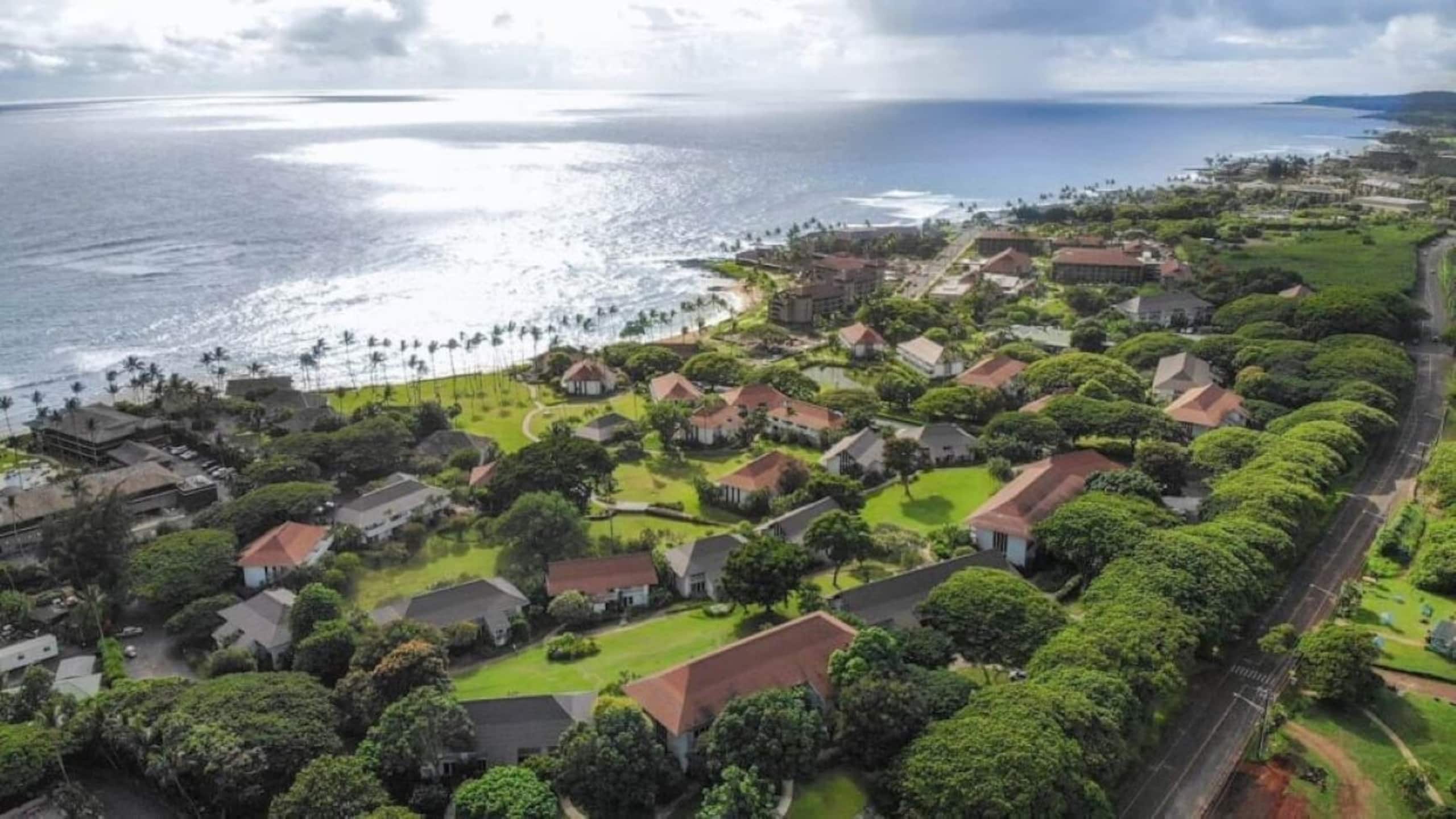 Rental unit in Koloa · ★5.0 · 1 bedroom · 1 bed · 1 bath - Photo 14