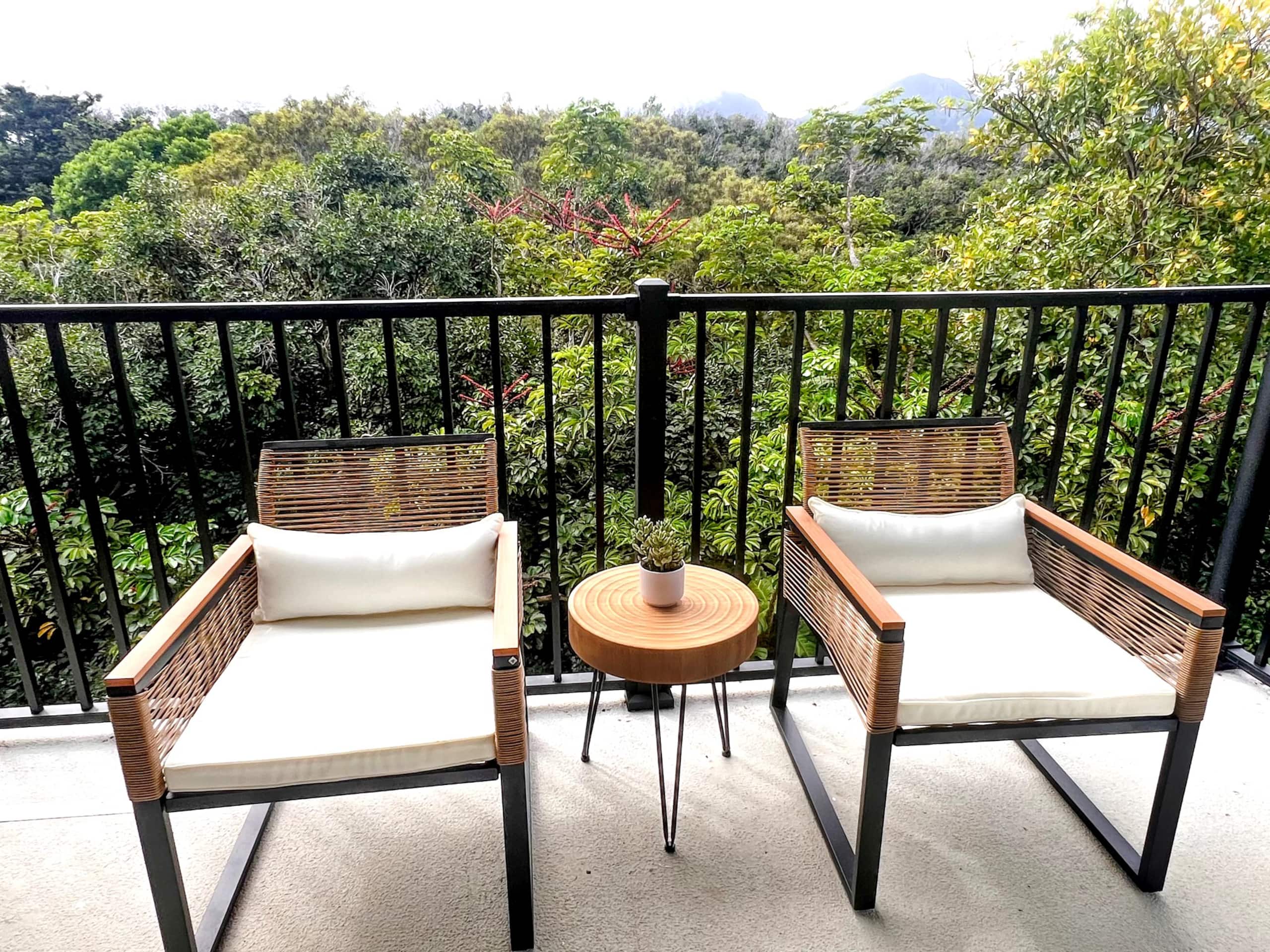 Condo in Princeville · ★4.98 · 1 bedroom · 1 bed · 1 bath - Image 25