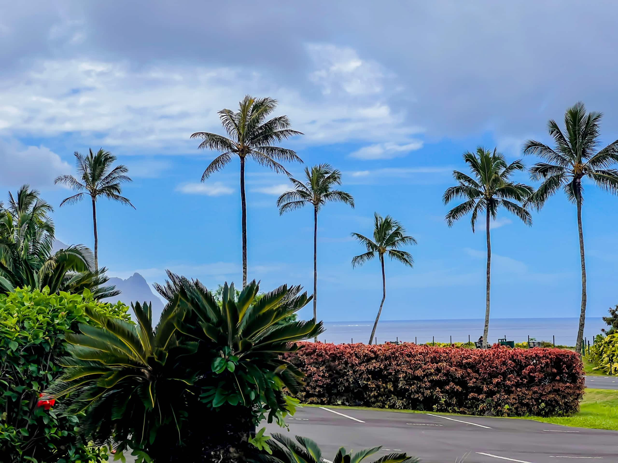 Condo in Princeville · ★4.98 · 1 bedroom · 1 bed · 1 bath - Image 56