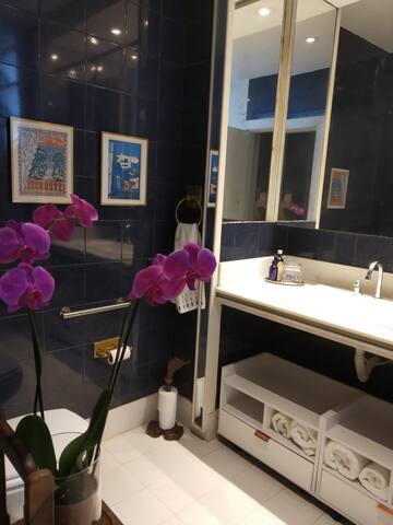 Amazing Penthouse steps from Ipanema & Arpoador gallery image 4