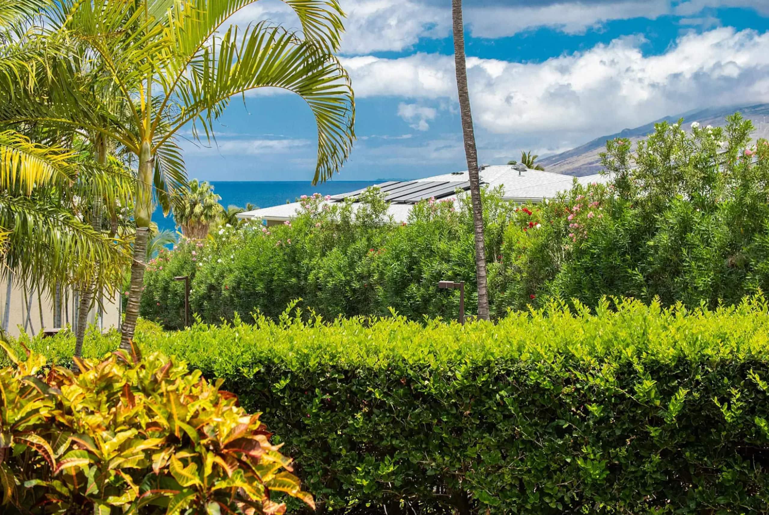 Summer Sale at Maui Bliss! Serenity & Views - Image 40