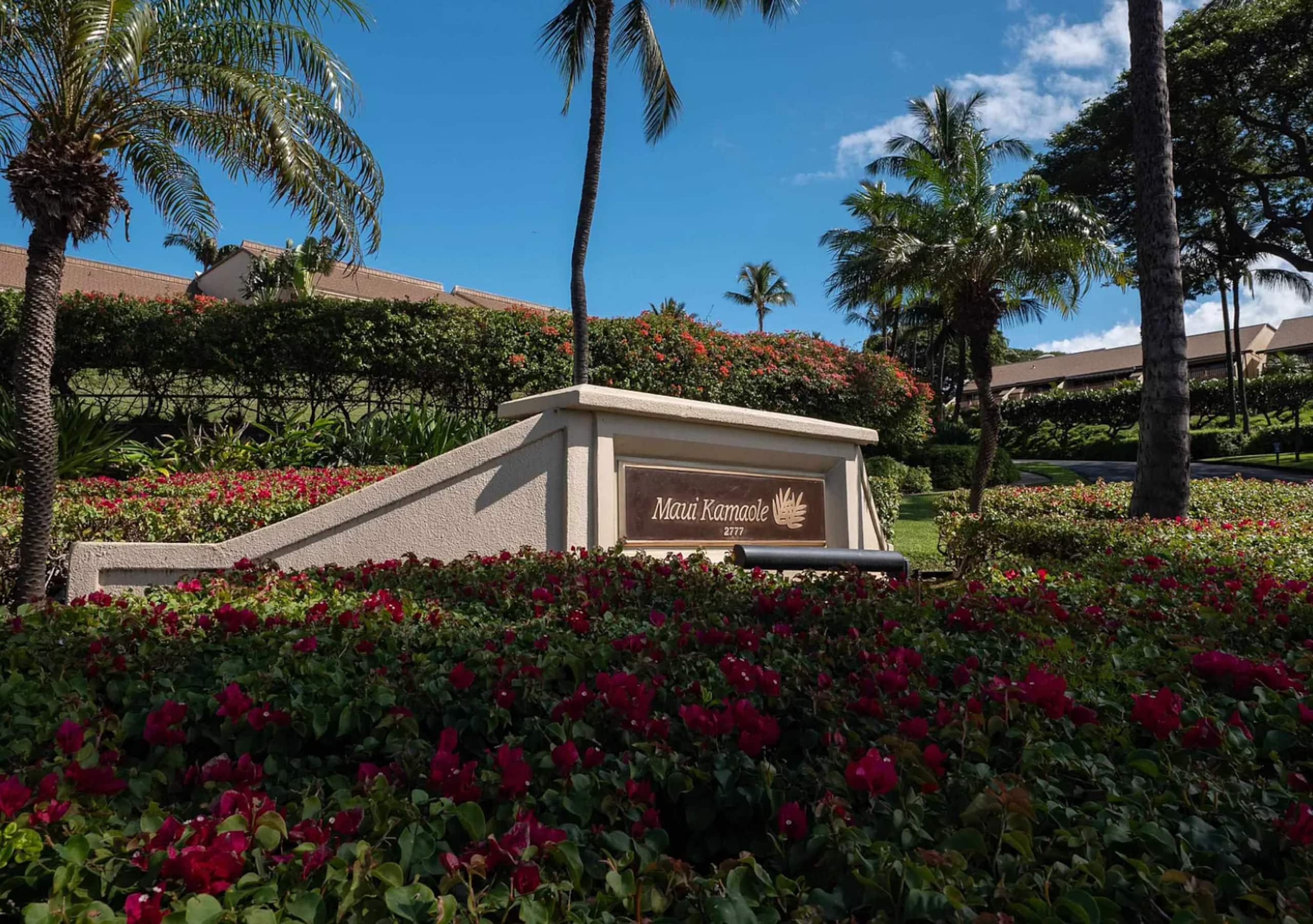 Summer Sale at Maui Bliss! Serenity & Views - Image 29