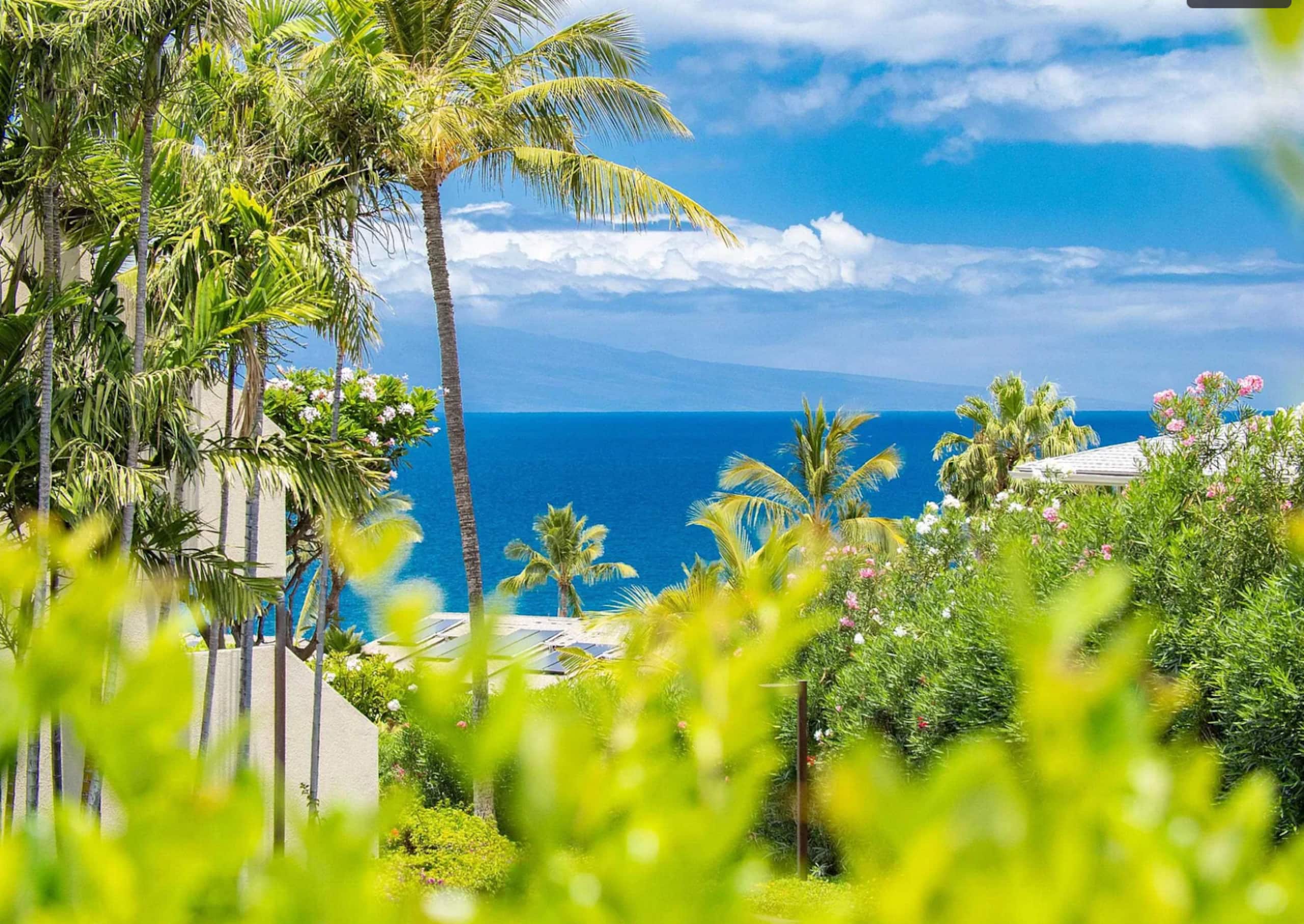 Summer Sale at Maui Bliss! Serenity & Views - Image 1