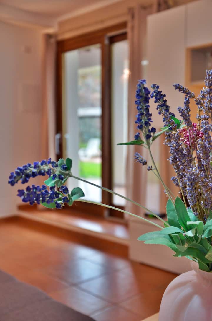 Lavanda de nuestro jardín