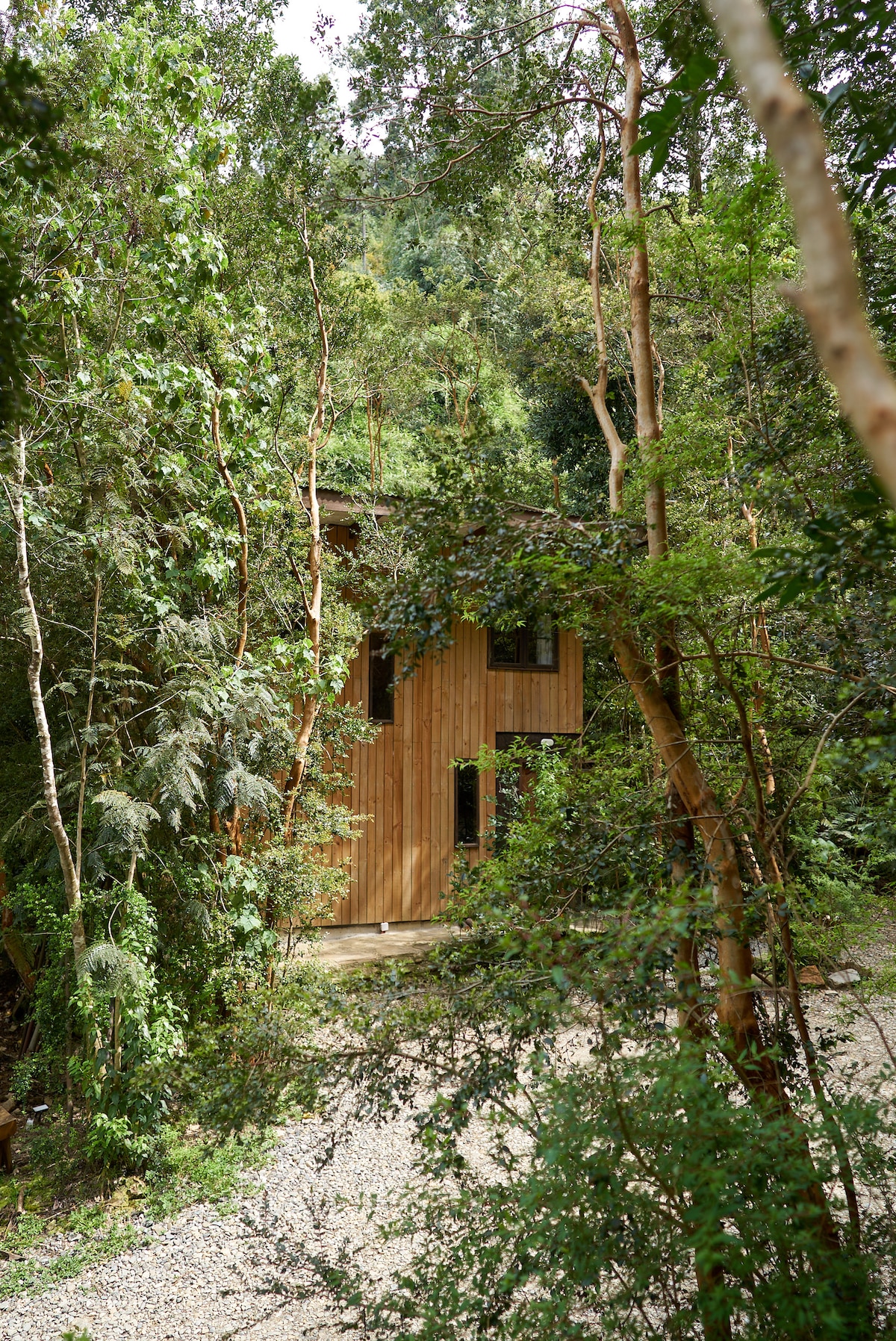 A wooden structure is nestled among dense greenery, with trees and shrubs surrounding it. The building features large windows and a simple facade, allowing it to blend into the natural environment while providing an inviting presence.