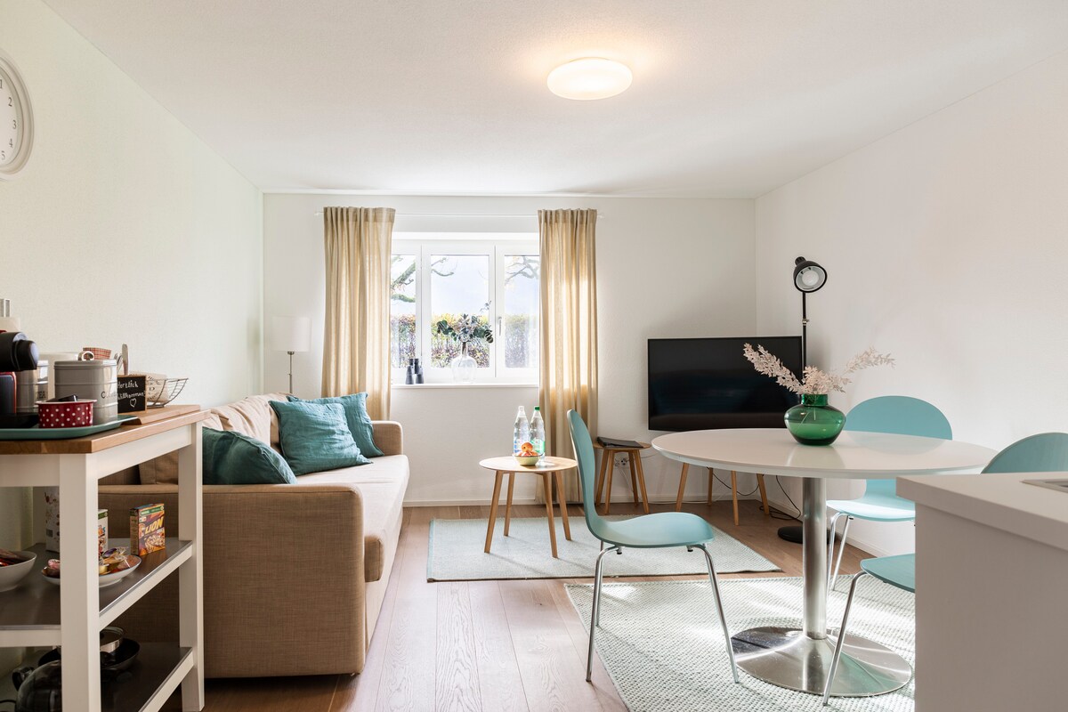 Successful Airbnb property: Modern 2-room granny apartment with kitchen & bathroom in Luzern