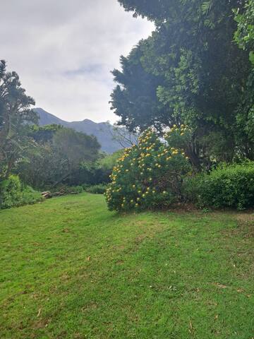 Sea Cottage gallery image 3