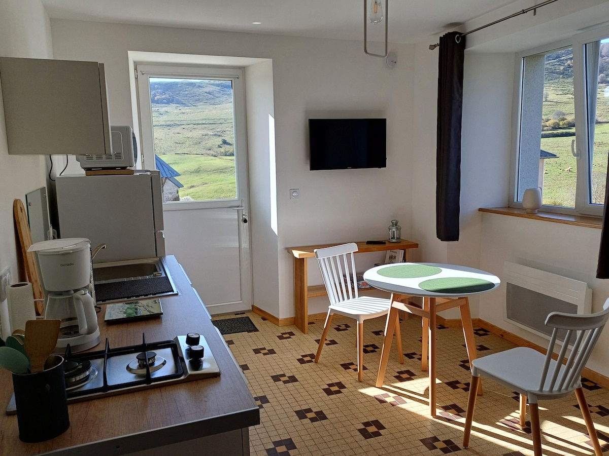 A well-appointed kitchen space features a compact cooking area with a stove and coffee maker. Natural light streams through two large windows, offering views of the landscape. A simple dining table with a green top and two white chairs occupies the center, complemented by a wooden bench and mounted television.