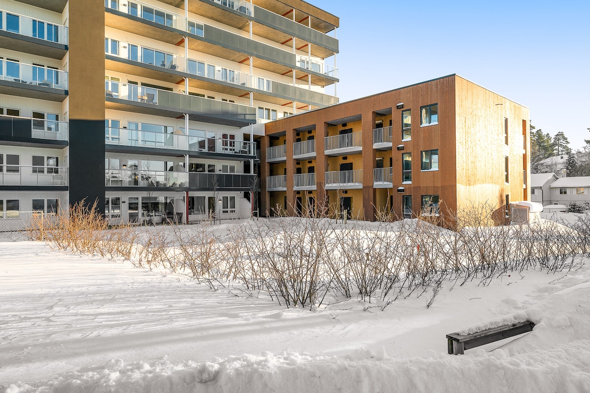 A view of the building's exterior showcases a combination of modern architecture and natural surroundings. Snow-covered ground contrasts with the wooden and brick façades, while balconies on the upper levels provide outdoor space. Bare shrubs are visible in the foreground, enhancing the winter scene.