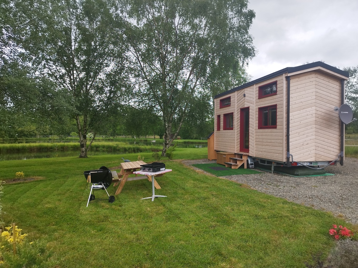 A charming cabin is positioned near a serene pond, surrounded by lush greenery. Outdoor seating areas are provided with picnic tables and a grill set up for cooking. The cabin features red windows that add a pop of color to the natural landscape.