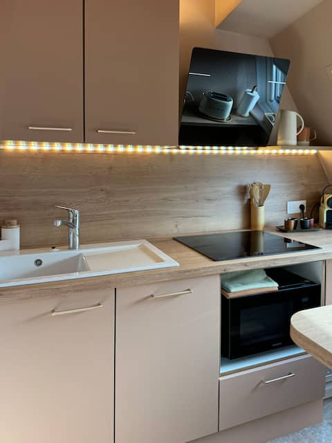 Top performing Airbnb: Le Petit Zix, cozy studio with rooftop views in Centre