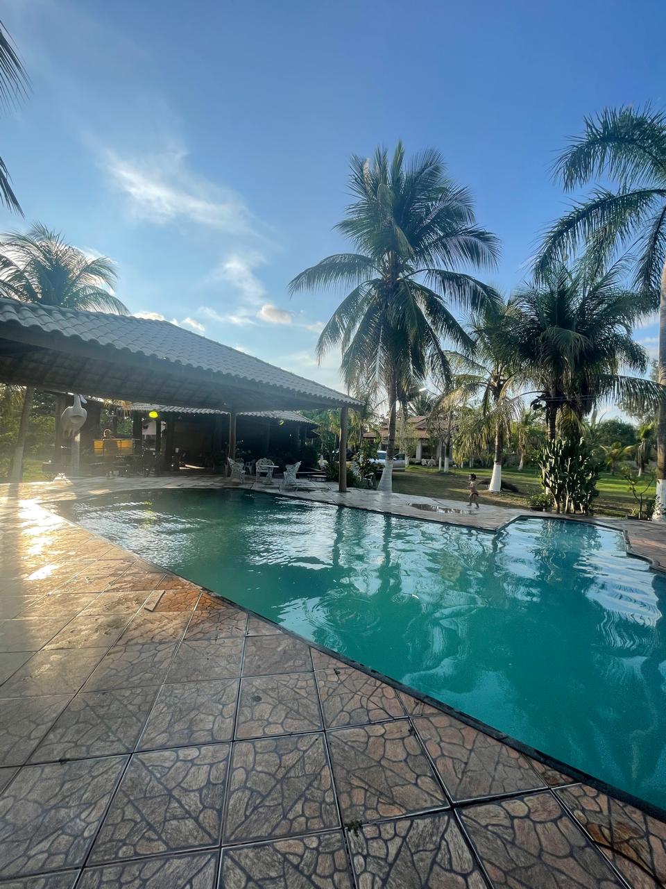 A serene swimming pool reflects the clear sky, surrounded by tall palm trees. The area features a covered terrace with seating arranged nearby, creating a welcoming space for relaxation and gatherings.