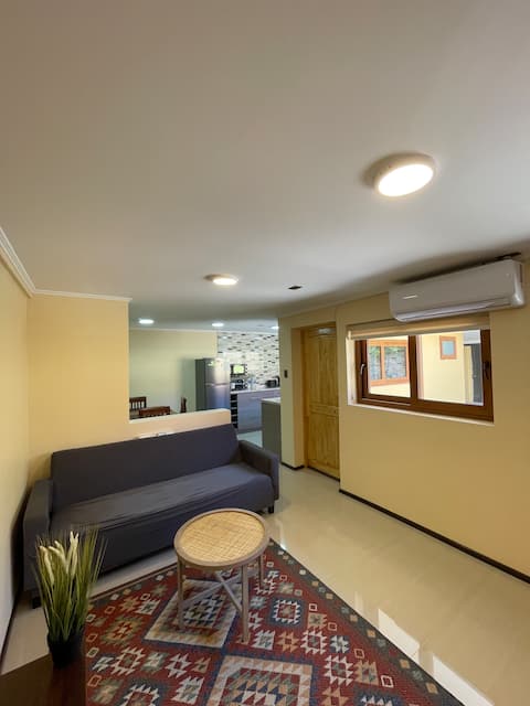 Top performing Airbnb: Apart House with private patio in Rancagua