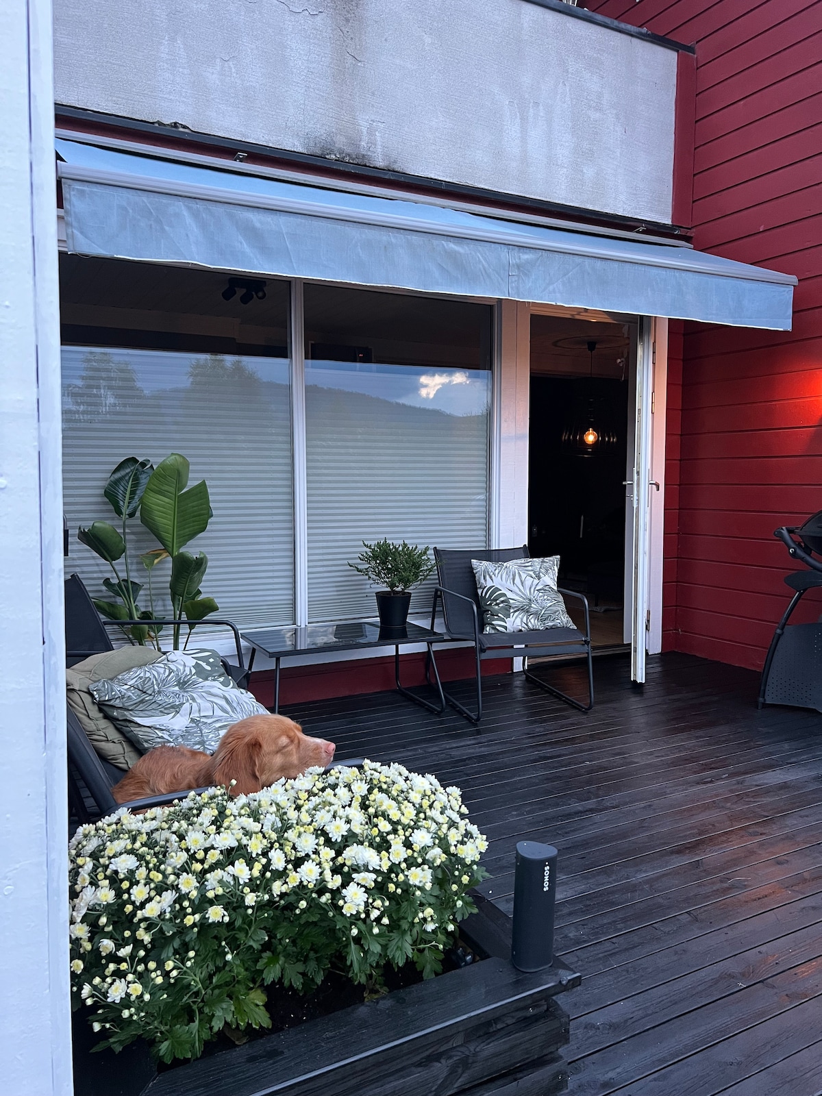 A covered veranda features comfortable seating arrangements, including two chairs and decorative cushions. Lush potted plants are positioned nearby, alongside vibrant flowers in full bloom. Soft lighting enhances the atmosphere, creating a welcoming space for outdoor relaxation.
