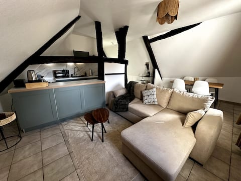 Propriété Airbnb réussie: Spacious and bright apartment 5-10 min Auxerre à Yonne