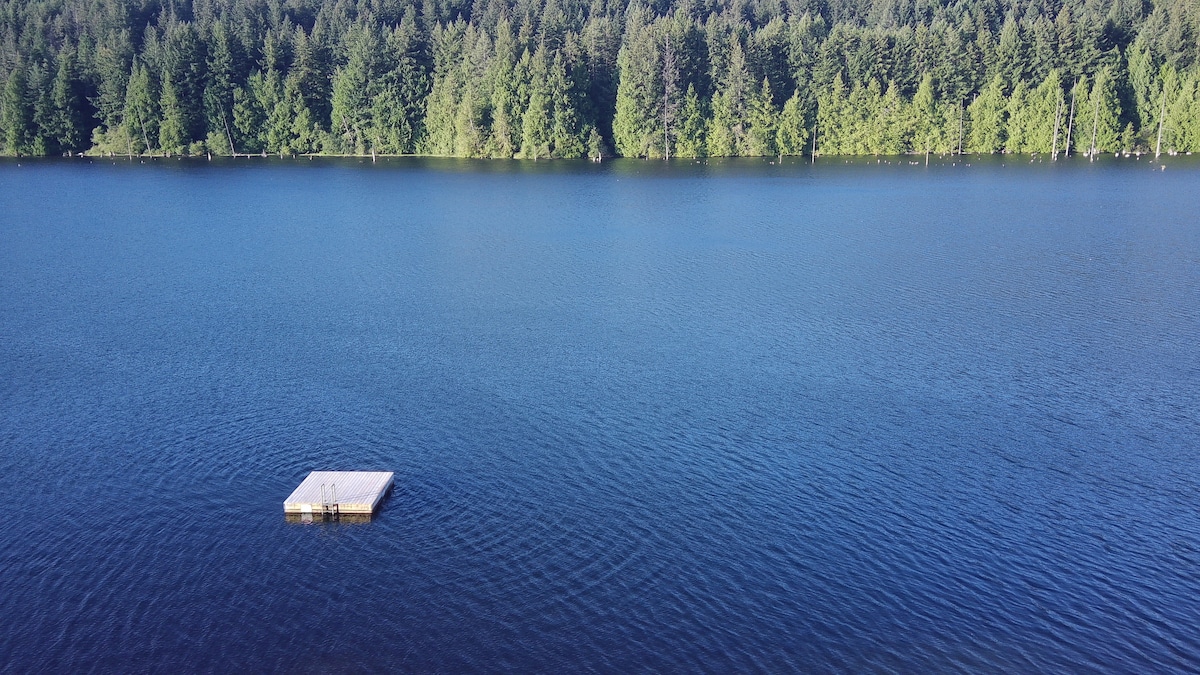 A calm lake surface reflects surrounding greenery, with a wooden dock floating in the center. The tranquil water contrasts with the dense forest lining the shore, providing a serene natural setting.