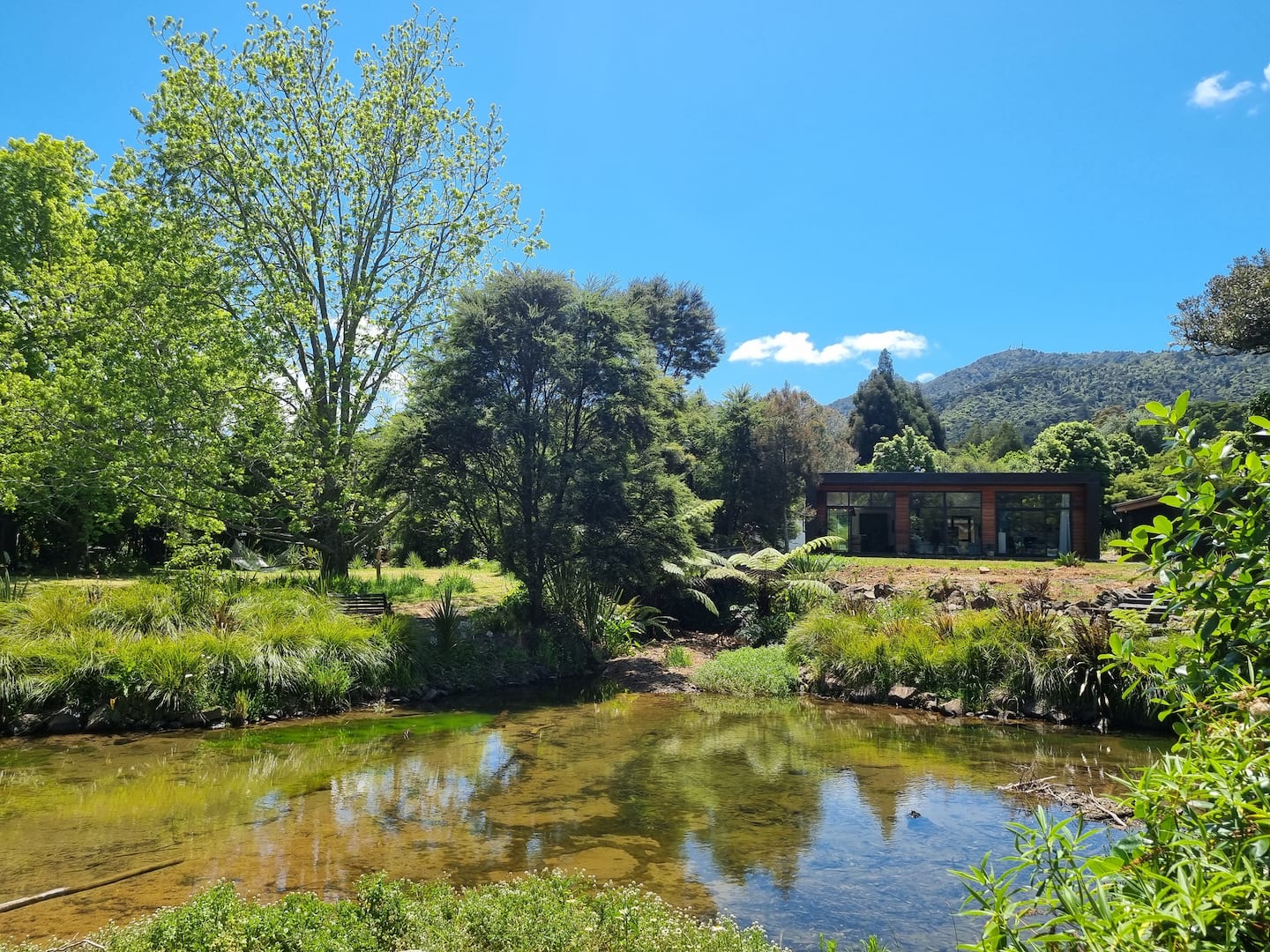 Go With The Flow - Peaceful Bush/pond Setting 1