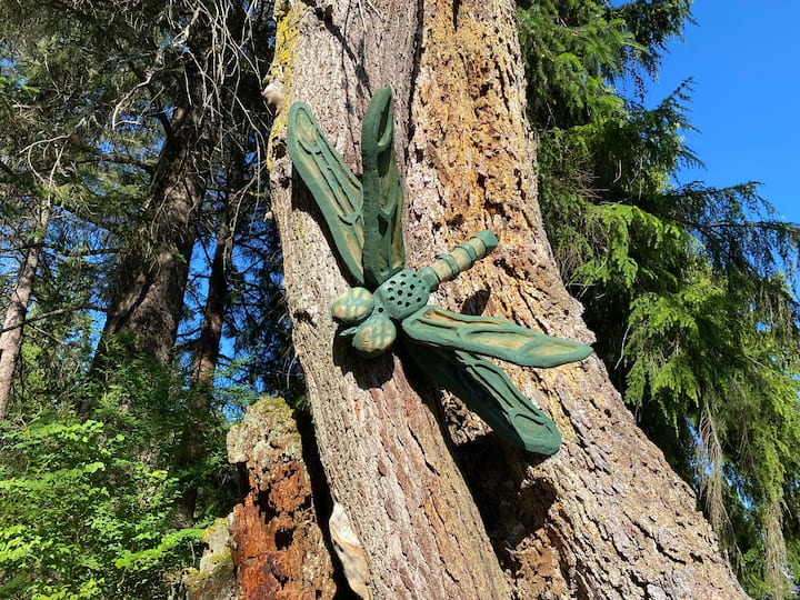 Lake Samish Vacation Rentals & Homes Washington, United States Airbnb