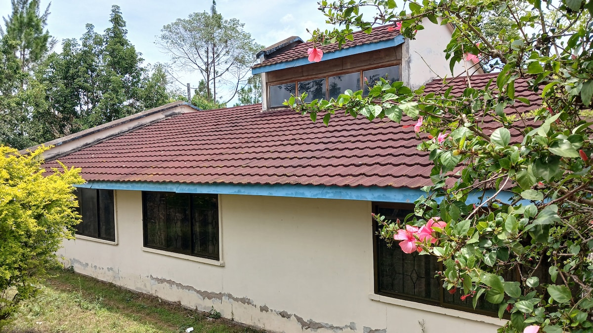 The exterior of the home is highlighted by a sloping roof with a blue trim. Large windows are visible, allowing natural light into the interior. Lush greenery, including flowering plants and low shrubs, creates a welcoming environment around the property.