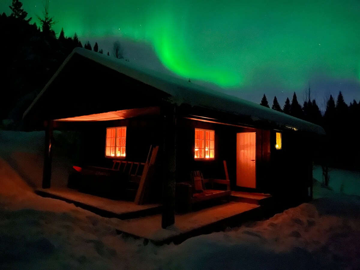 A charming cabin is surrounded by snow, illuminated by the soft glow of its windows. The northern lights cast a vibrant green hue in the sky above, enhancing the tranquil outdoor setting. The cabin's entrance is framed by a wooden porch, adding to its rustic appeal.