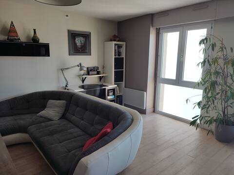 Top Airbnb: Large, bright 63 m² 2-room apartment with parking in Hauts Pavés Saint Félix