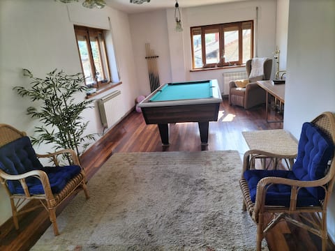 Top performing Airbnb: A corner of pine forests in Burgos