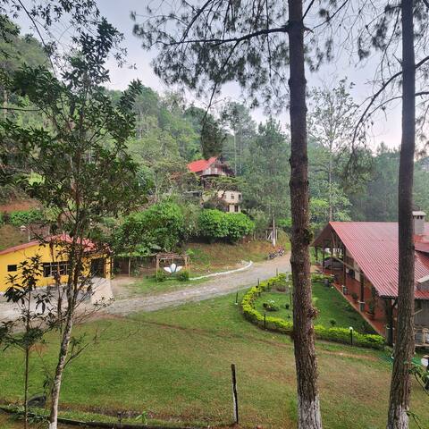 The Writer's House