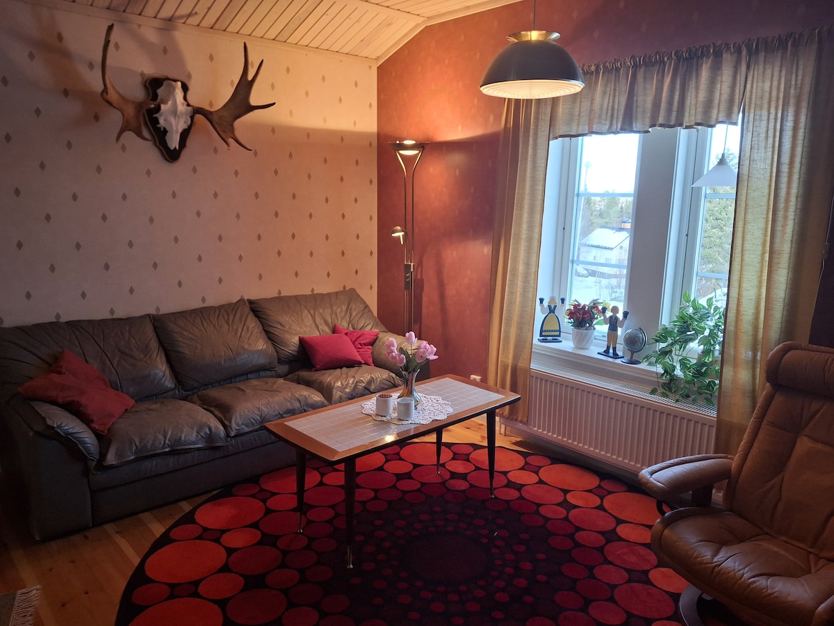 A cozy living area features a leather sofa paired with a round coffee table centered on a circular rug. Natural light enters through a large window adorned with light curtains, accompanied by decorative plants. A lamp and an antler mount add character to the space.