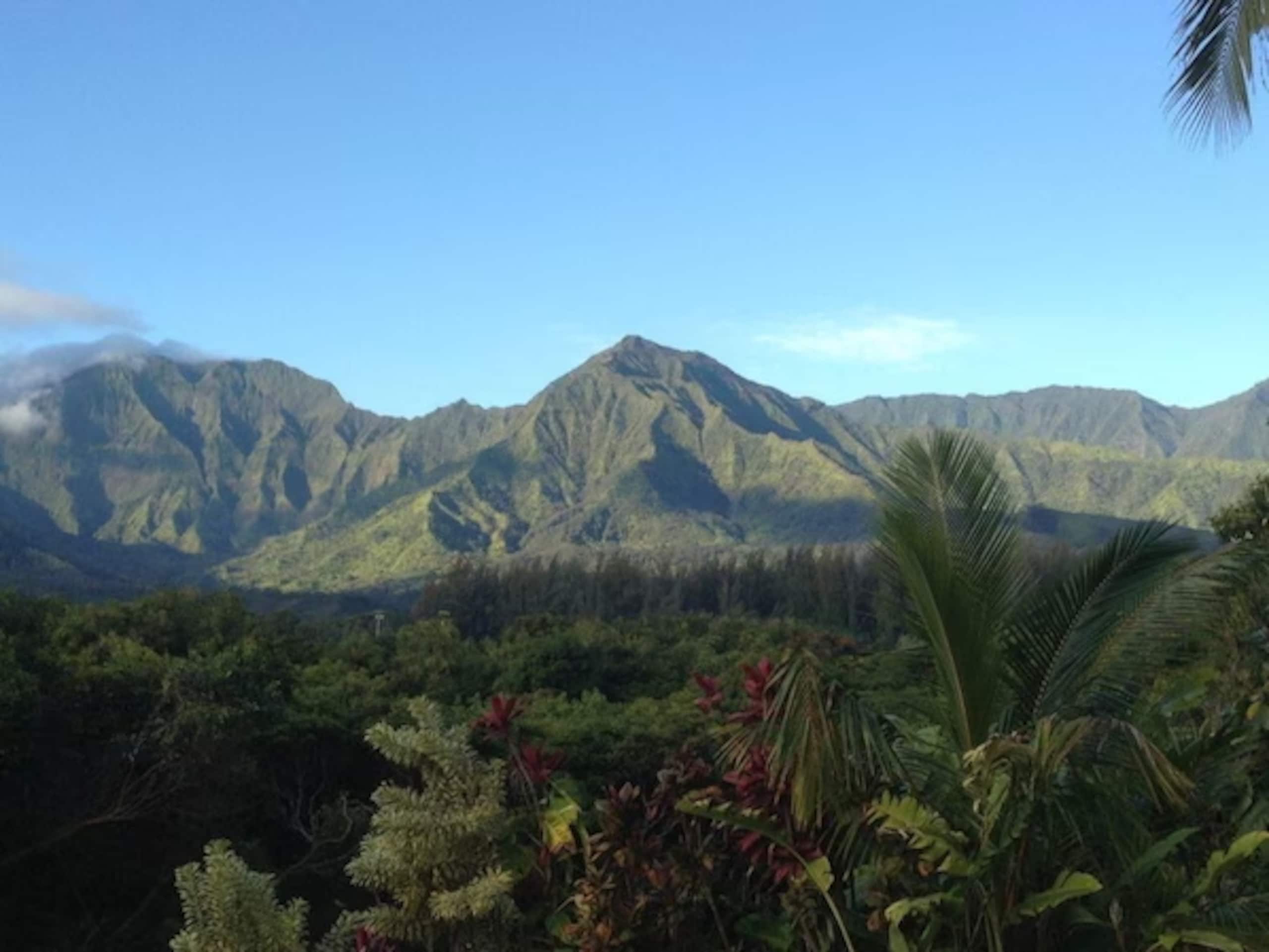 Home in Princeville · ★5.0 · 3 bedrooms · 5 beds · 3.5 baths - Image 55