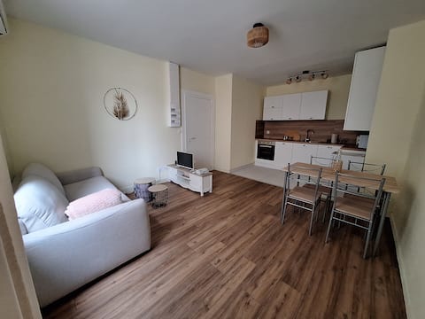 Apartment T2 cocooning