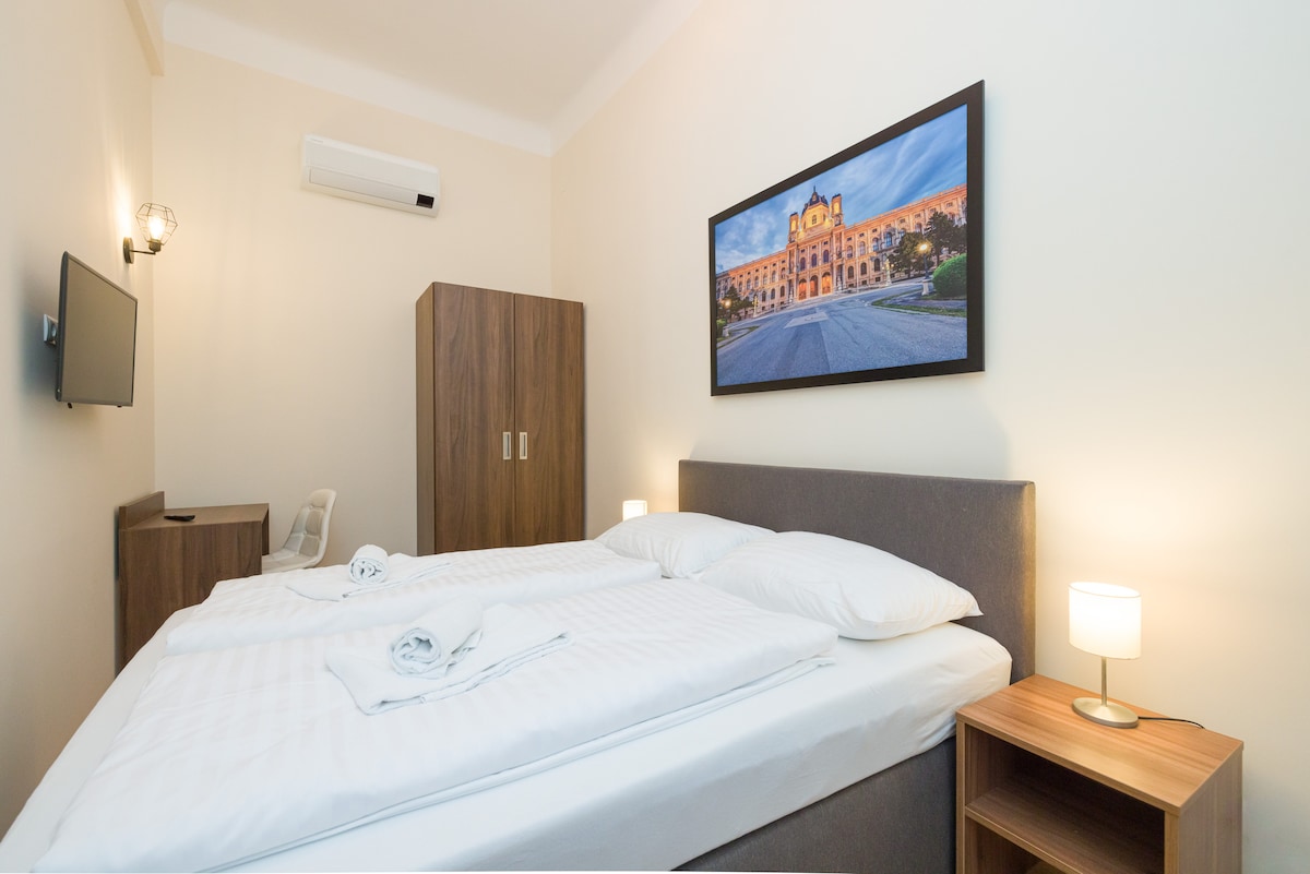 A comfortable sleeping area is presented with a spacious bed adorned with crisp linens. A contemporary wardrobe stands nearby, complemented by a bedside table with a lamp. Wood accents add warmth, while a framed photograph of Schönbrunn Palace is displayed on the wall.