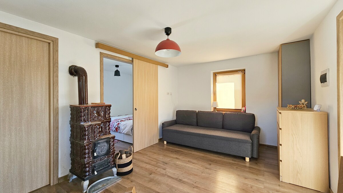 A cozy living area features a gray sofa facing a small window, allowing natural light to fill the space. A wooden cabinet stands against the wall, and a traditional stove adds character. Light wood flooring enhances the warm atmosphere of the room.